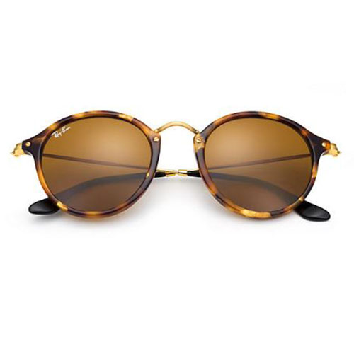 RayBan Round Fleck Sunglasses RB2447_2