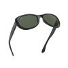 Ray-Ban RB4325 Black Sunglasses