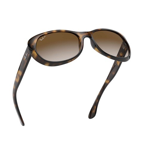 Ray-Ban RB4325 tortoise Sunglasses Ray-Ban RB4325 tortoise Sunglasses