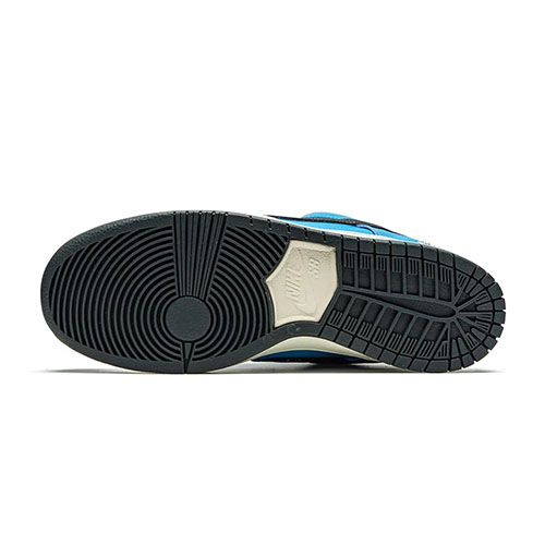 nike dunk instant skateboards