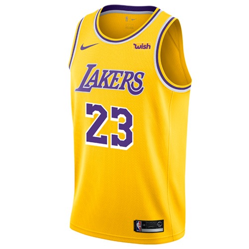 Lebron Lakers icon jersey
