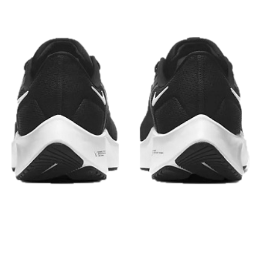 Air Zoom Pegasus black