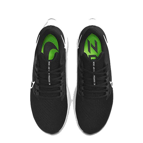 Air Zoom Pegasus black