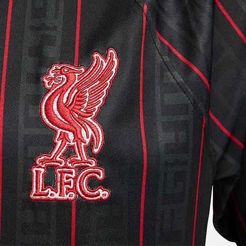 Buy Lebron James x Liverpool FC Jersey | Superbuyng