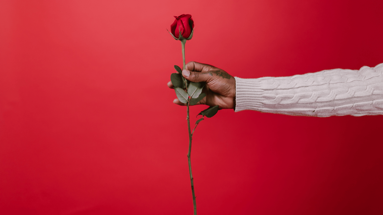 Happy Valentine's Day Red Rose