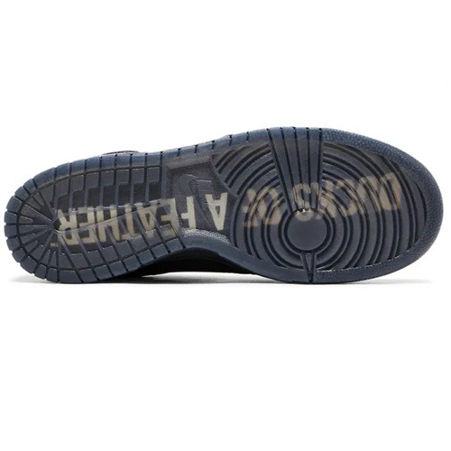 Nike Dunk Duck Oregon